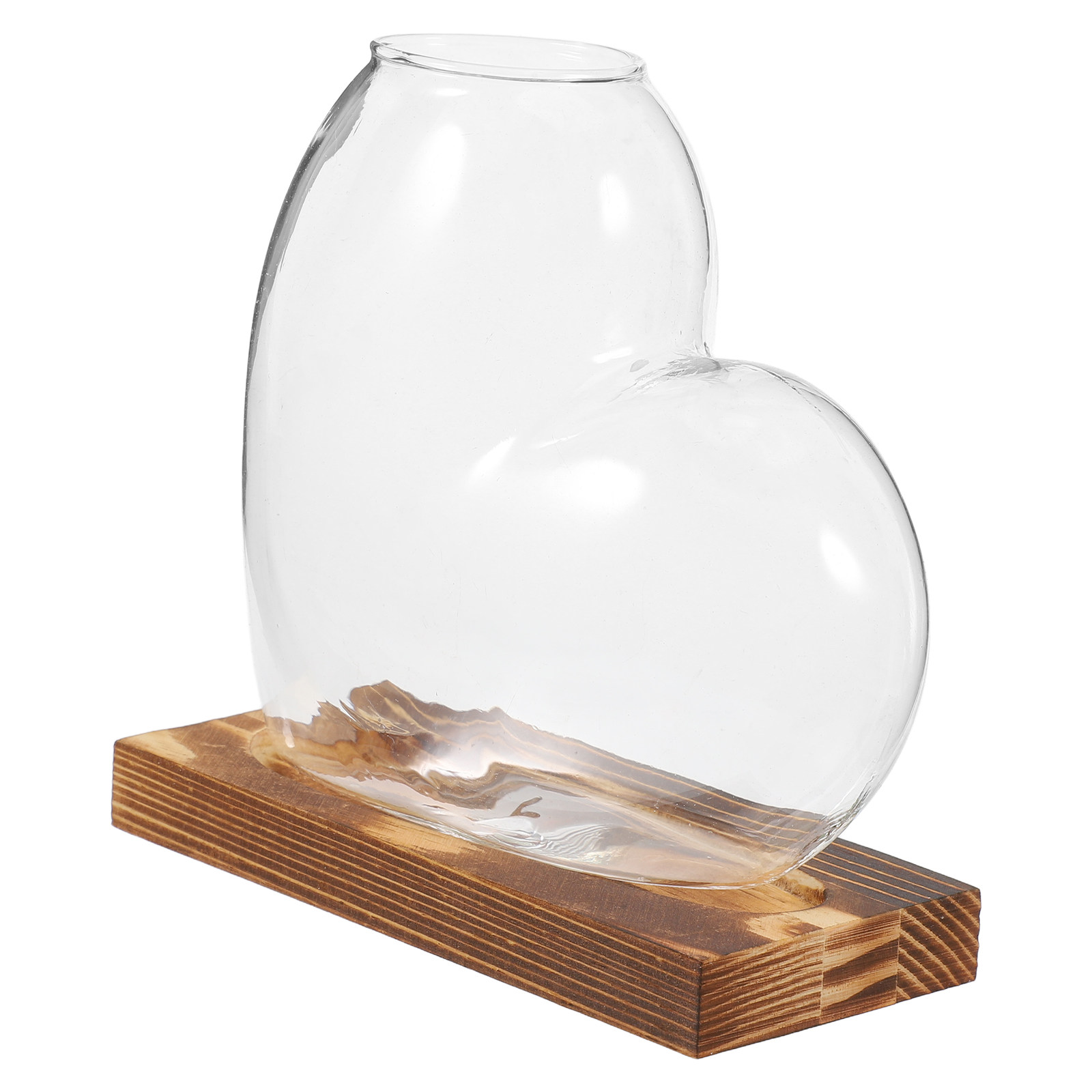 Propagation Station Vase - Vase en verre hydroponique transparent, station