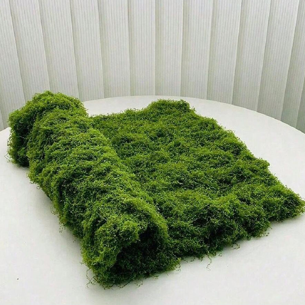 Sphagnum Moss Dry - 1*1m fausse mousse bricolage artisanat herbe