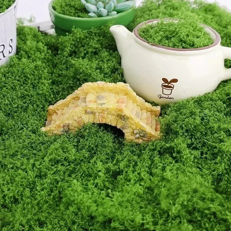 Mousse artificielle verte pour - Sphagnum Moss Dry avis et prix
