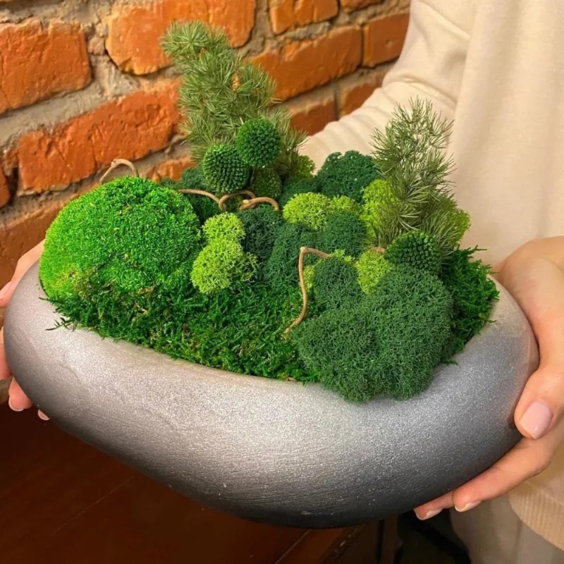 Mousse artificielle verte pour - Sphagnum Moss Dry avis et prix
