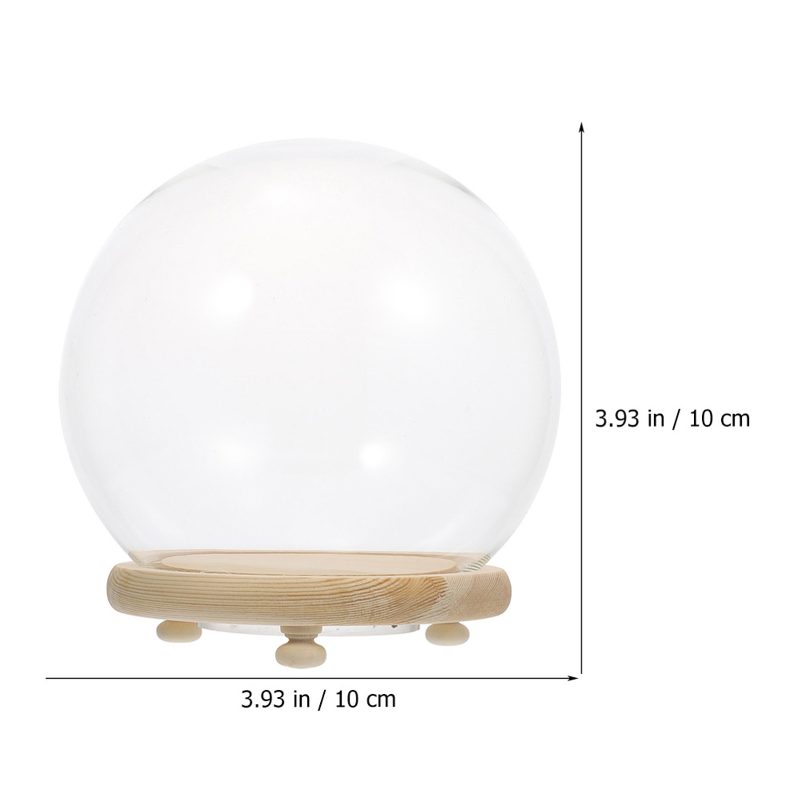 Dôme en verre pour fleurs stab - Plastic Dome Clear avis et prix