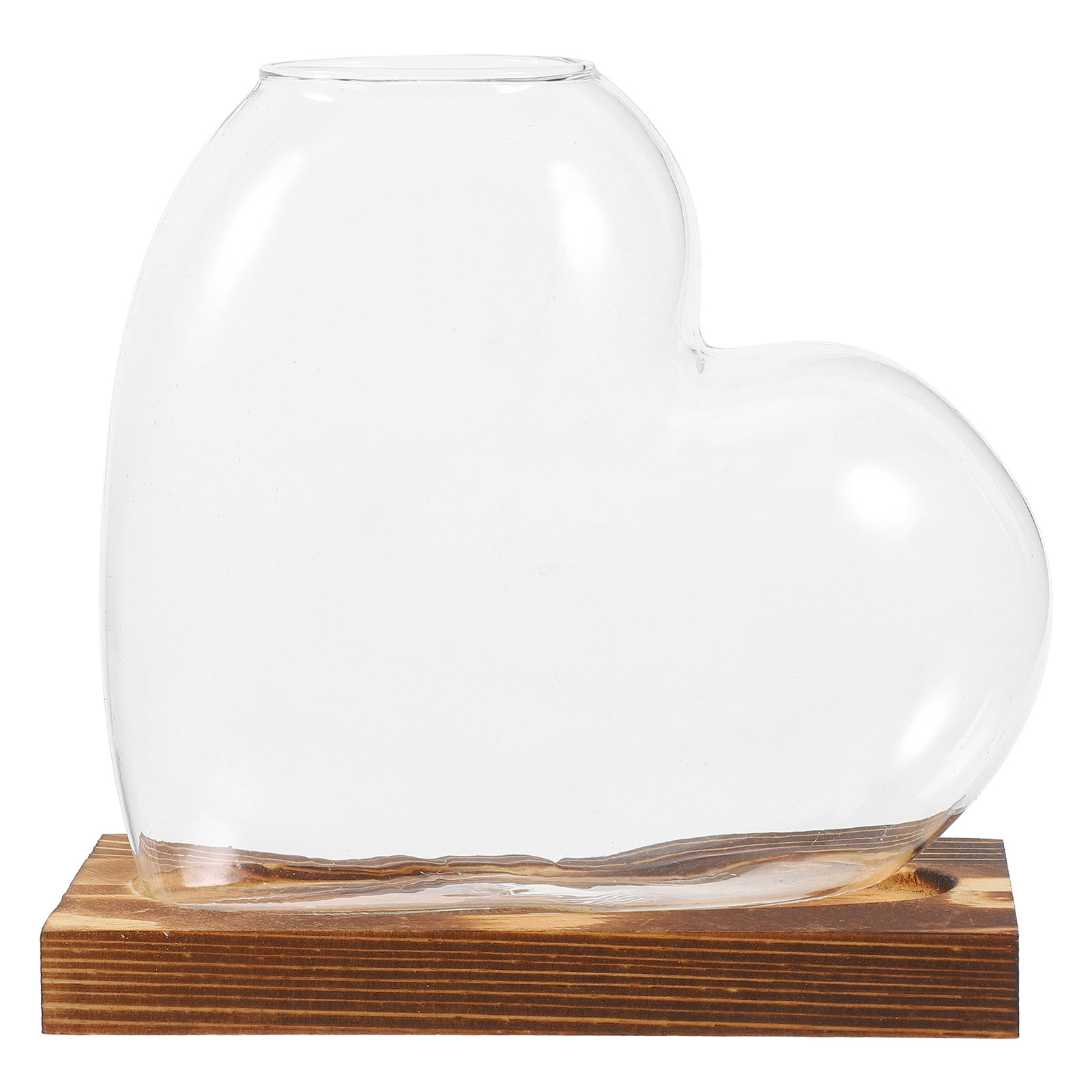 Vase en verre hydroponique tra - Propagation Station Vase avis et prix