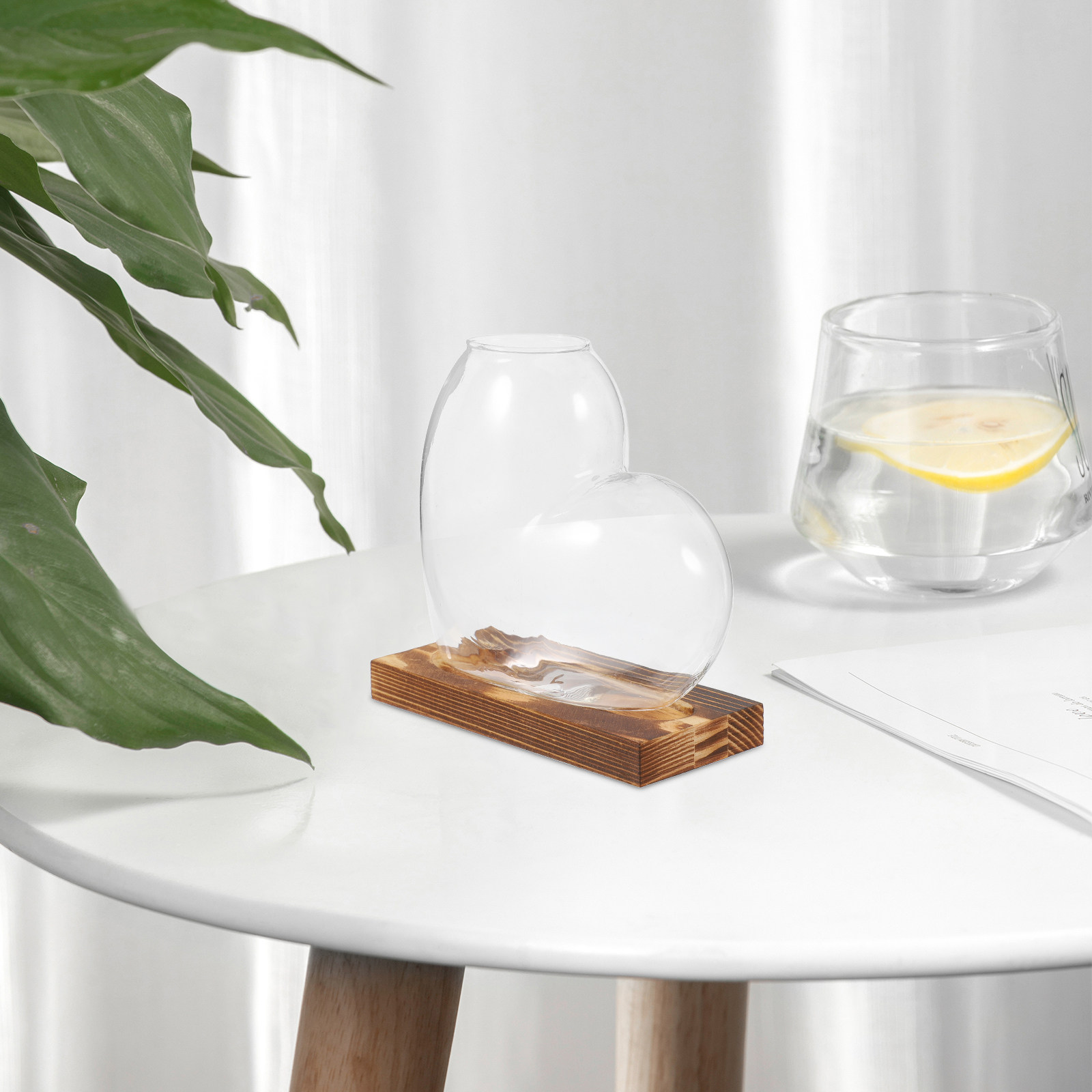 Vase en verre hydroponique tra - Propagation Station Vase avis et prix