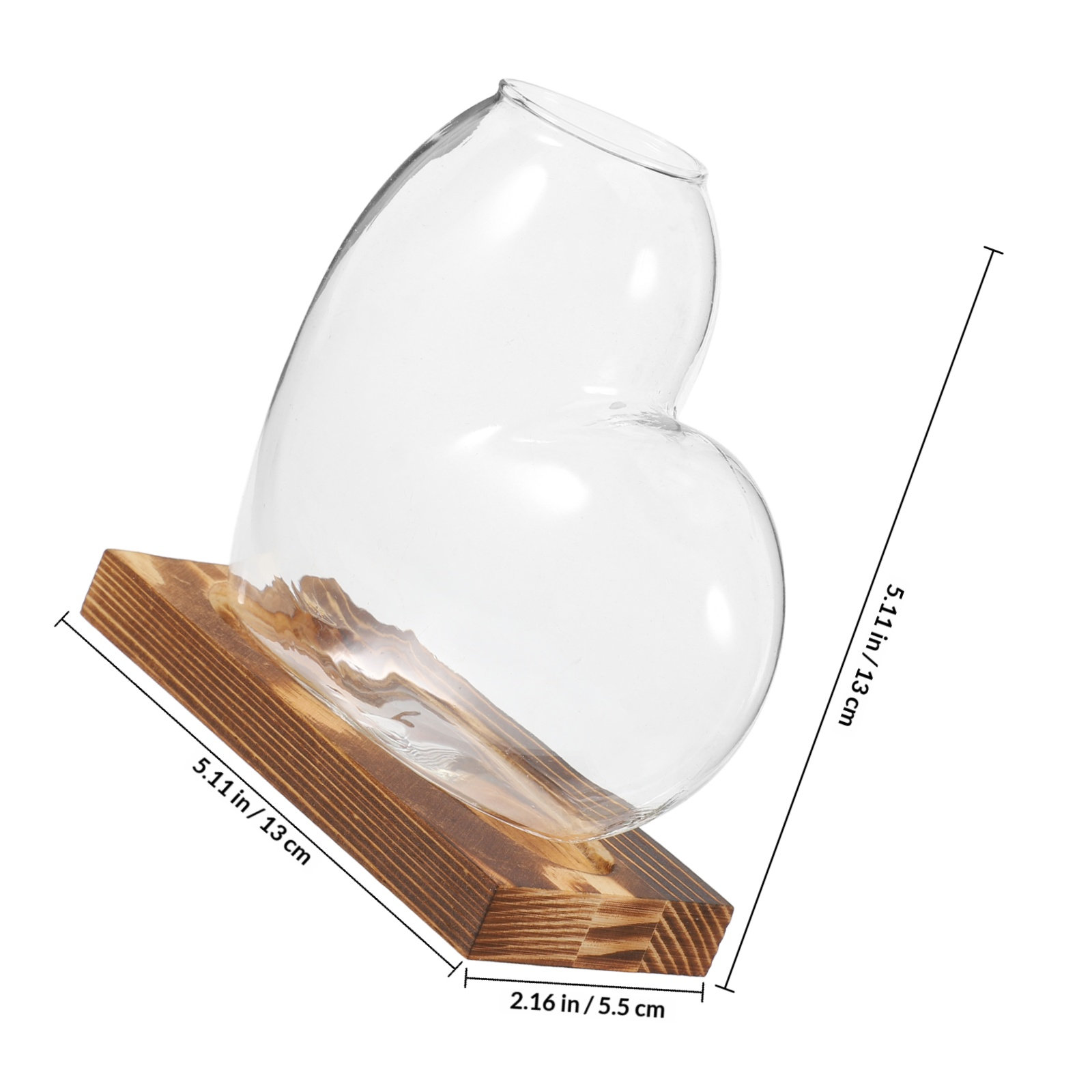 Vase en verre hydroponique tra - Propagation Station Vase avis et prix