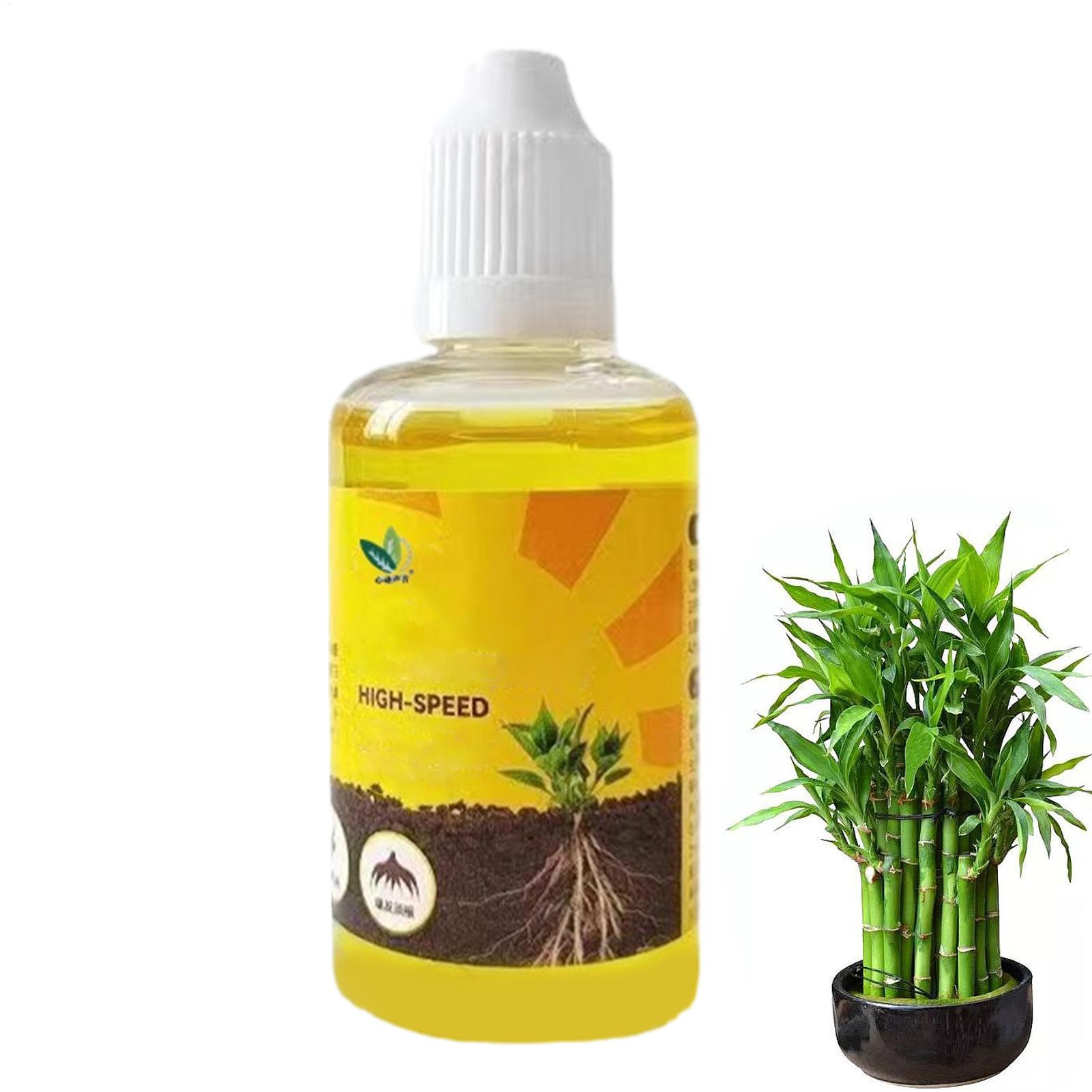 Stimulateur d'enracinement de  - Root Stimulator Liquid avis et prix