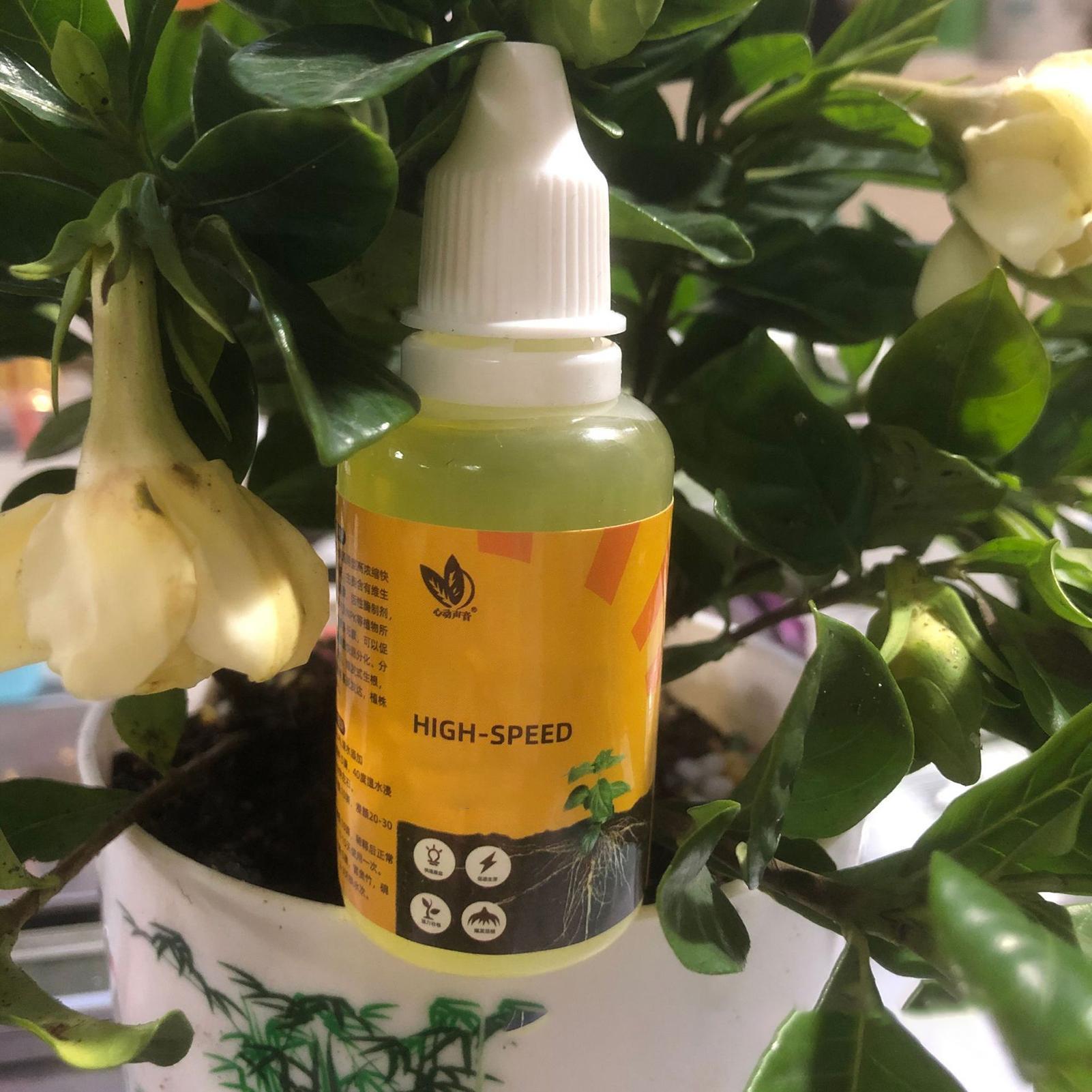 Stimulateur d'enracinement de  - Root Stimulator Liquid avis et prix