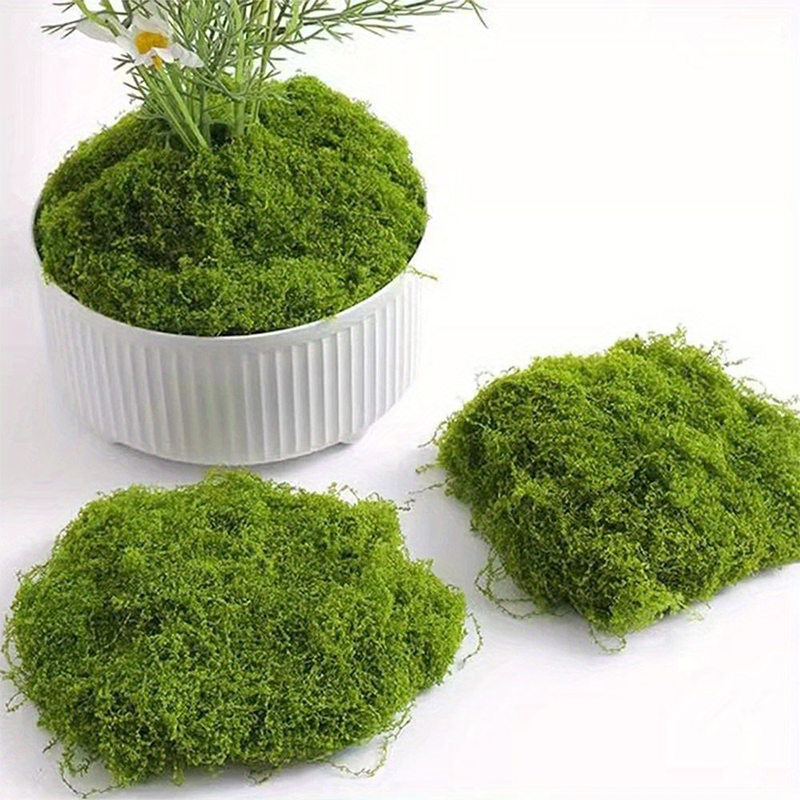 Mousse artificielle verte pour - Sphagnum Moss Dry avis et prix