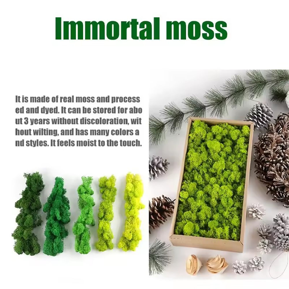 Mousse artificielle Lu Rui de  - Sphagnum Moss Dry avis et prix