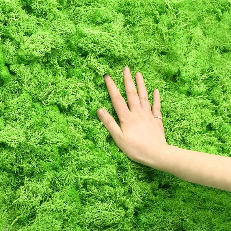 Plantes vertes artificielles,  - Sphagnum Moss Dry avis et prix