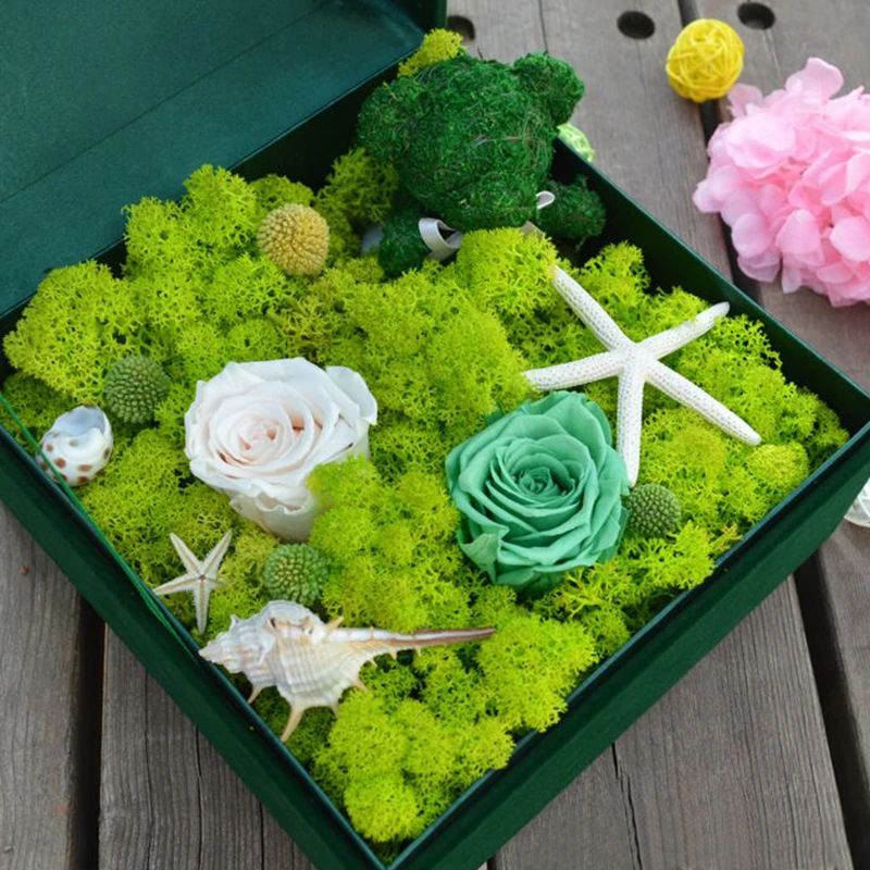 Plantes vertes artificielles,  - Sphagnum Moss Dry avis et prix