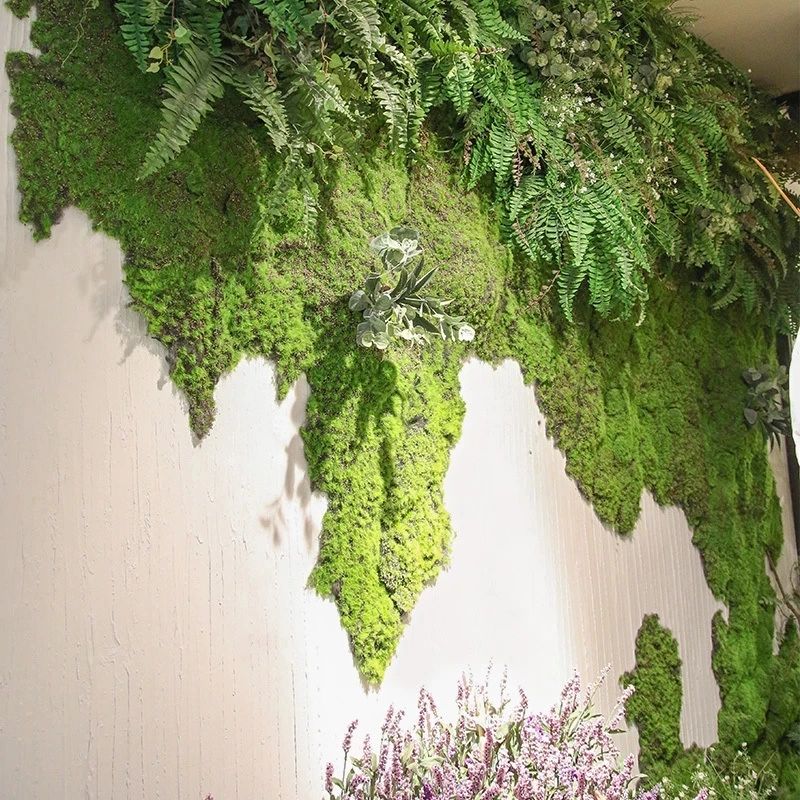 Plantes vertes artificielles,  - Sphagnum Moss Dry avis et prix
